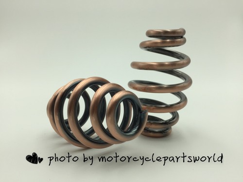 Motorcycle custom pair - pair, solo