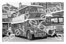 Bus Photograph EASTERN