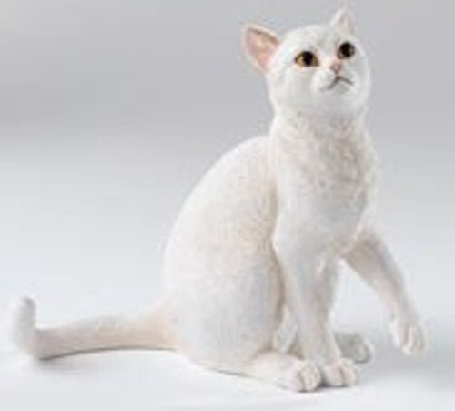 Country artists white cat - ,