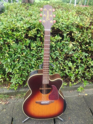 Takamine npt 012bs set - pu.2,