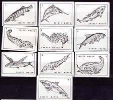 MATCHBOX LABELS BELGIUM-