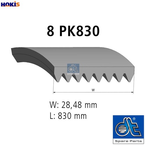Vribbed belt 21058 - belt, for