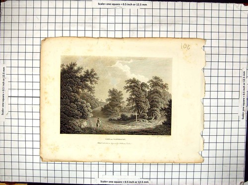 Antique old print engraving - antique,