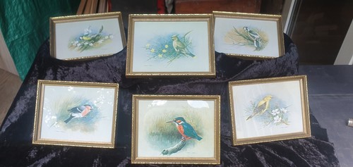 Basil ede framed - framed, glass
