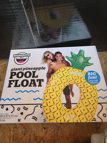 Giant pineapple pool float - giant,