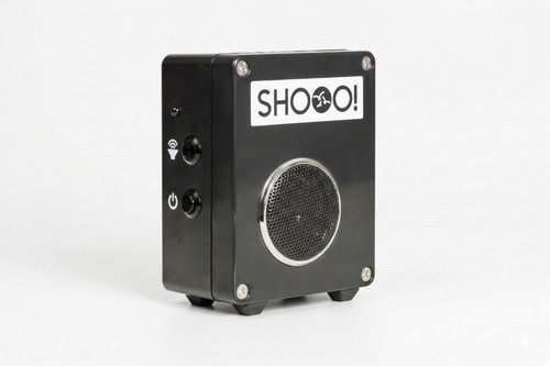 Bio acoustic bird - bio,