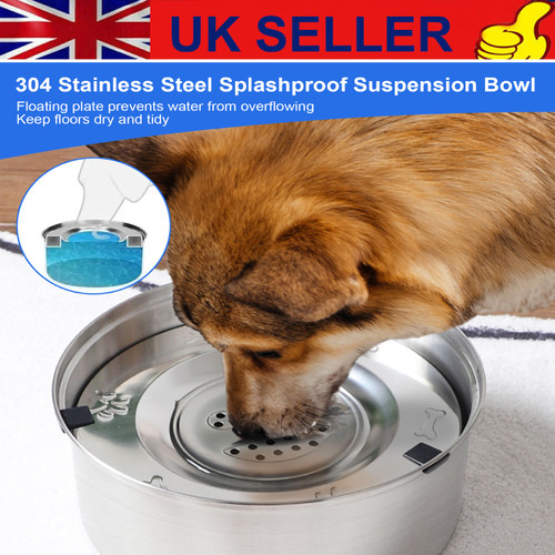 Spill dog cat water - spill,