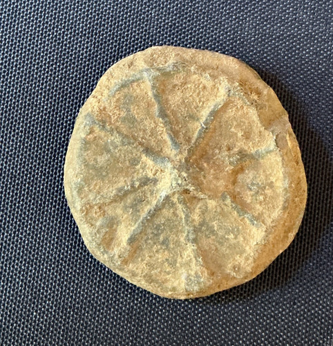 Rare cartwheel raised - cartwheel,