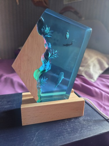 Novelty night light - night,