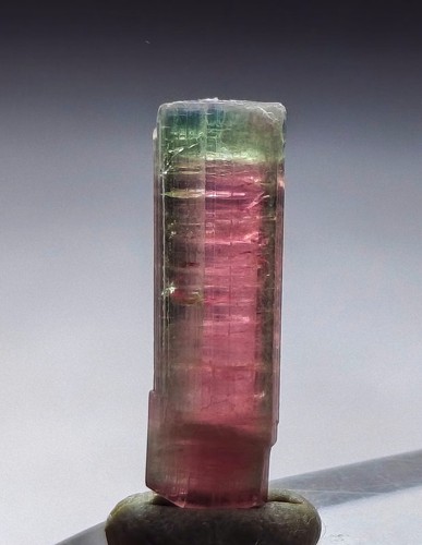 Watermelon tourmaline crystal - tourmaline,