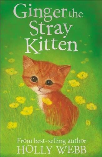 Ginger the stray - ginger, 8