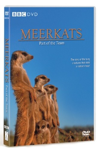 Meerkats dvd simon - (2009), king