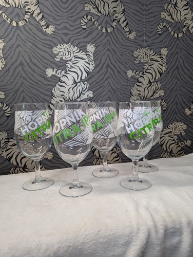 Beer pint glass hopnik citra - pint,