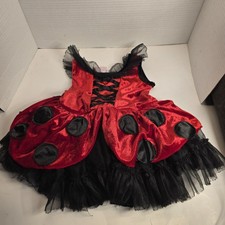 Fairy Dust Ladybug Costume