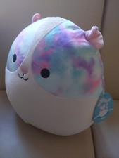Squishmallows Guinea Pig Rhys