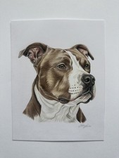 Pitbull Portrait | Realistic