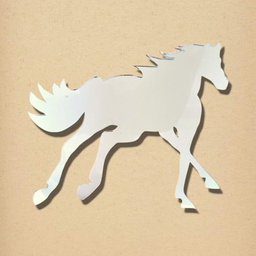 Horse cantering mirror - cantering,