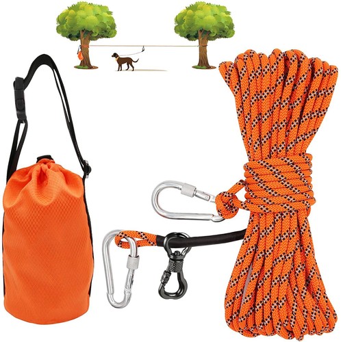 Dog tie out - out, for