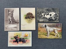 ARTIST DRAWN / SIGNED  DOGS -