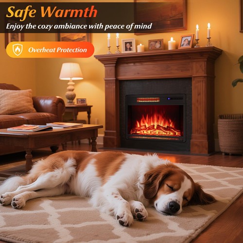 Powered fireplace insert - powered,