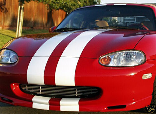 Dual plain racing rally - dual,