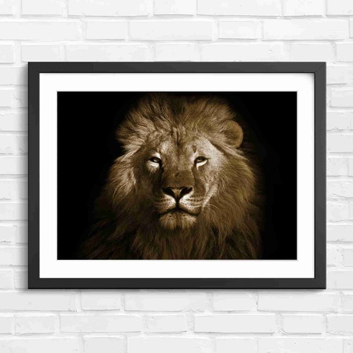 Majestic male lion portrait - majestic,