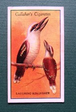 1928 GALLAHER Tobacco Card