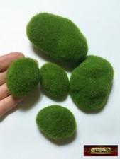 M01442 MOREZMORE 5 Artificial