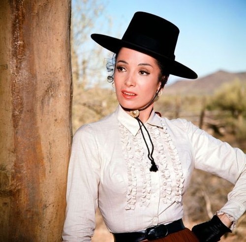 The high chaparral unsigned - the,