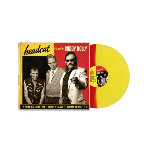 Headcat plays buddy - -, holly