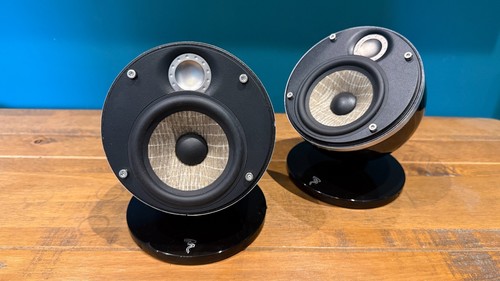 Focal dome flax - focal,