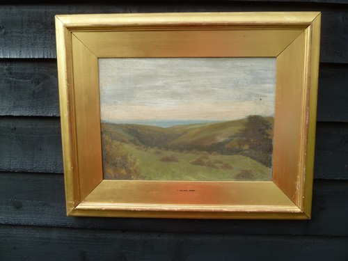 Frederick golden short - golden,