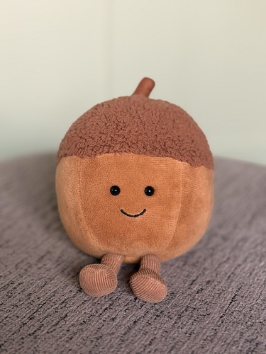 Jellycat amuseables acorn - amuseables, rare