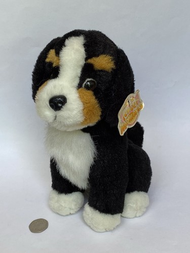 Pms tender moments bernese - 'tender,