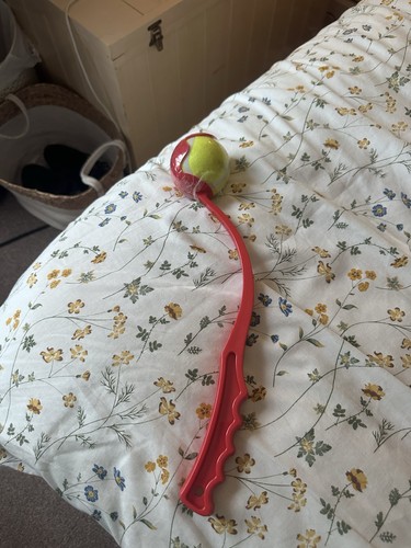 Red dog tennis ball launcher - dog,