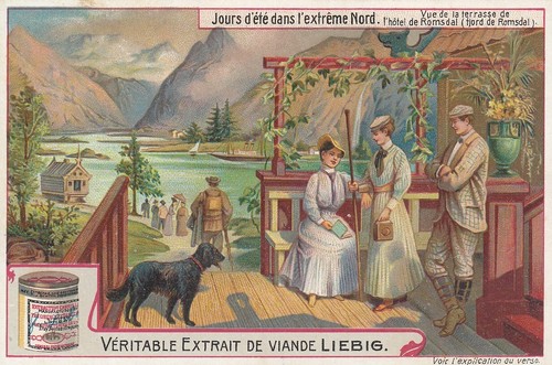 Liebig cards s961 - 6,