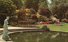  Postcard Kent Japanese azaleas in the cascade rockery Hever Castle unposted