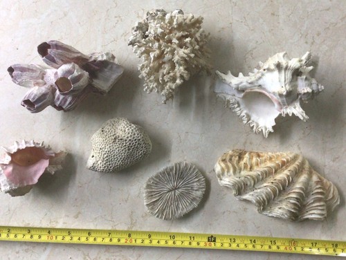 Pieces vintage natural - 7,