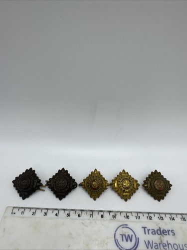 British military collar - military,