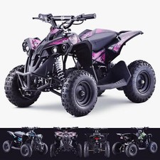Kids 36V Mini Quad Bike 1000W