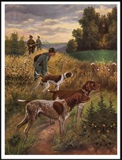 GERMAN SHORTHAIRED POINTER