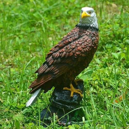 Bronze eagle decoration - bronze,