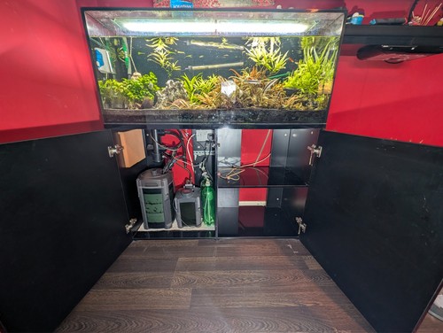 4ft 250l planted tropical - 4ft,