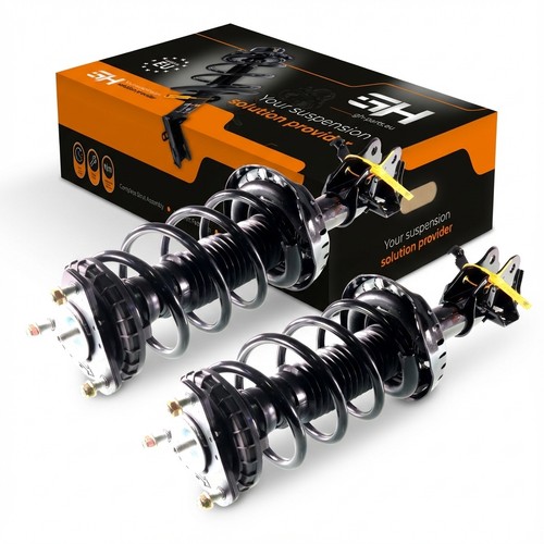Complete struts assembly - 2x,