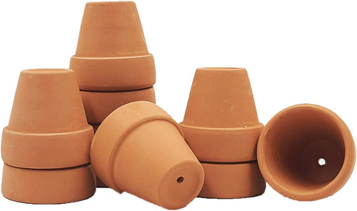 Mini terracotta pots with - terracotta,