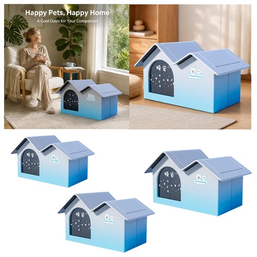 Cat cooling house dog - dog,