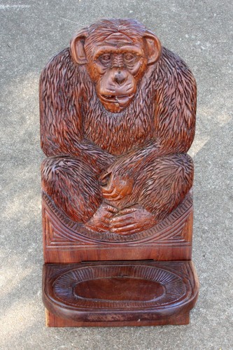 Birthing chief chair chimp - birthing, ape
