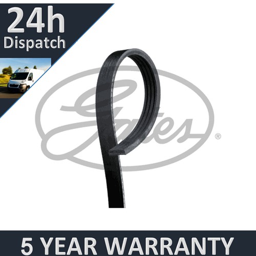 Gates ribbed belts fits - v-ribbed,