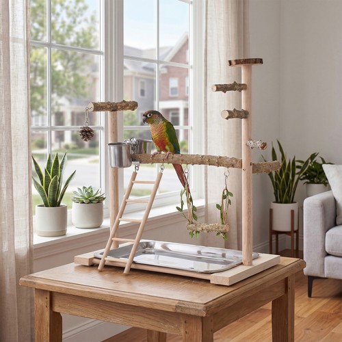 Parrot playstand bird play - playstand,