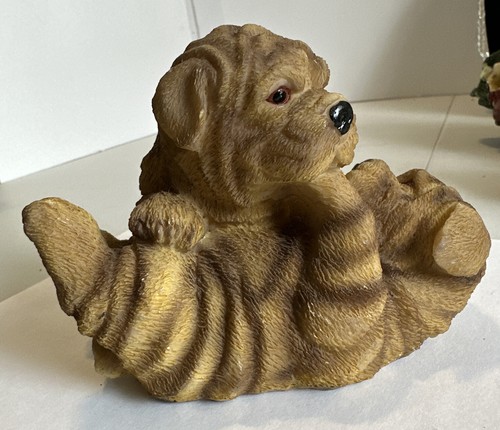 Shar pei puppies wrestling - pei,
